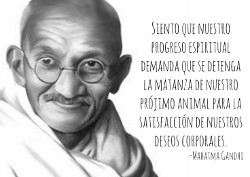 Frases