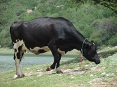 Compromiso con el medio ambiente